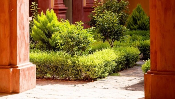 Un patio con un arco central, rodeado de abundante vegetación y un sendero de piedra.