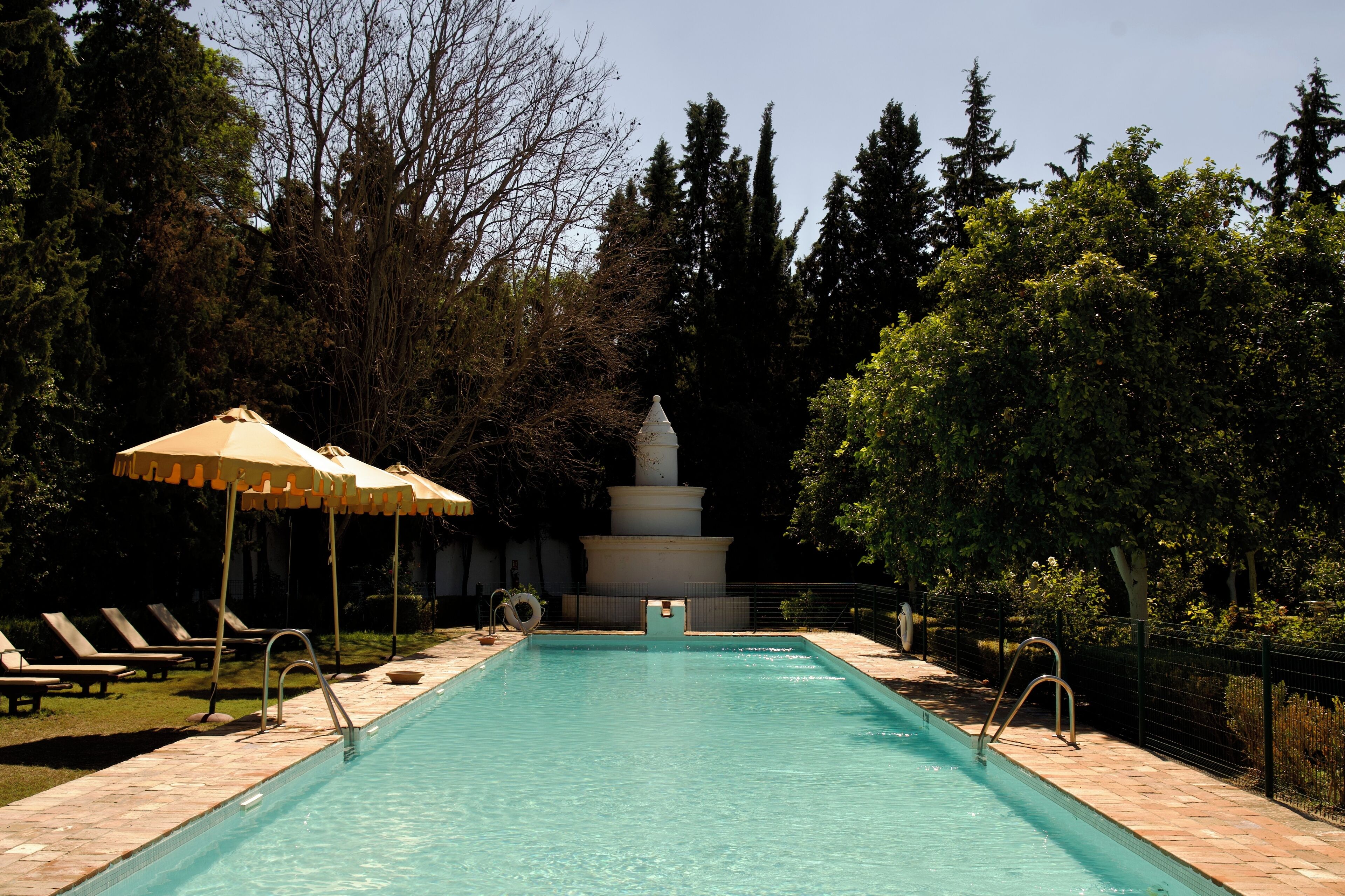 Seasonal outdoor pool, open 9:30 AM to 8:30 PM, sun loungers