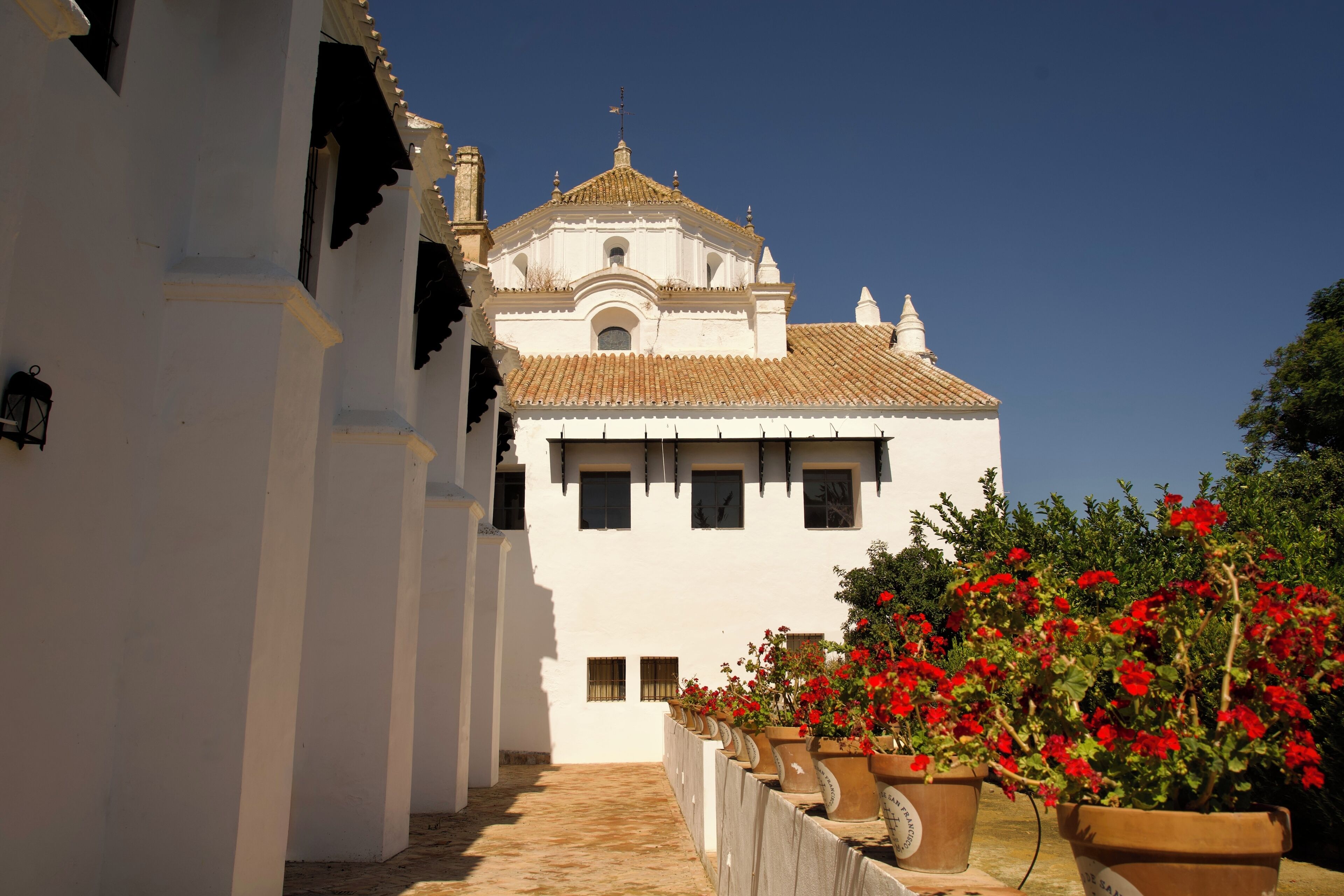 A white building with a tiled roof and a dome, surrounded by potted plants with red flowers.