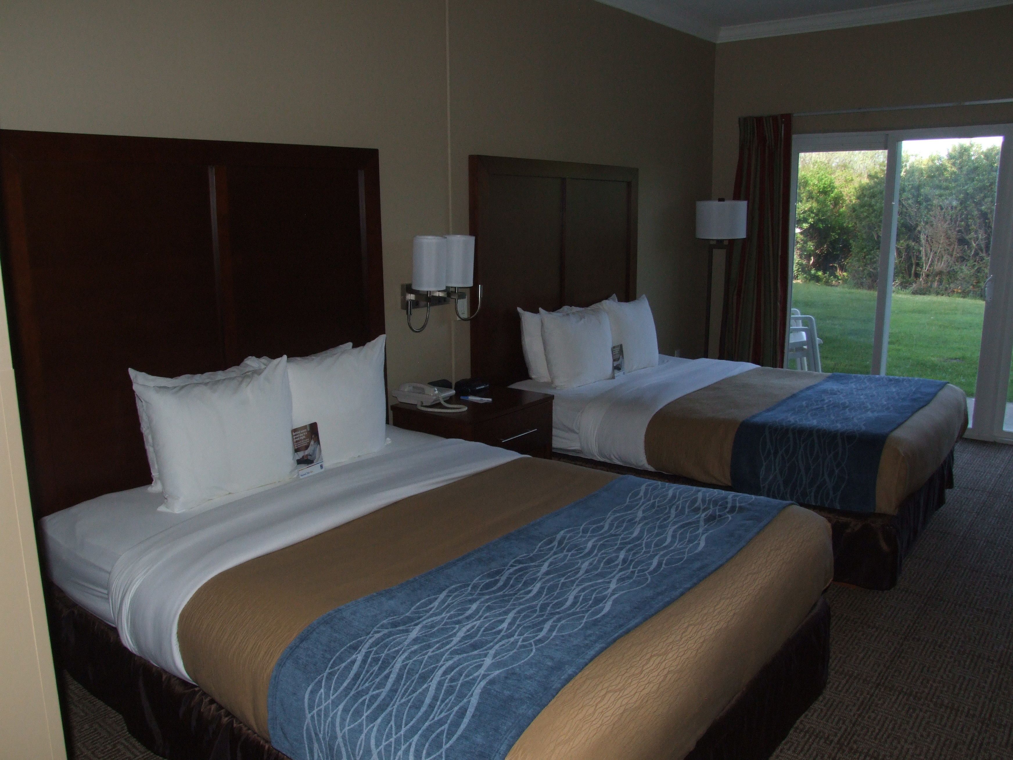 A hotel room with two beds, a nightstand with a lamp, and a view of a grassy area through the window.