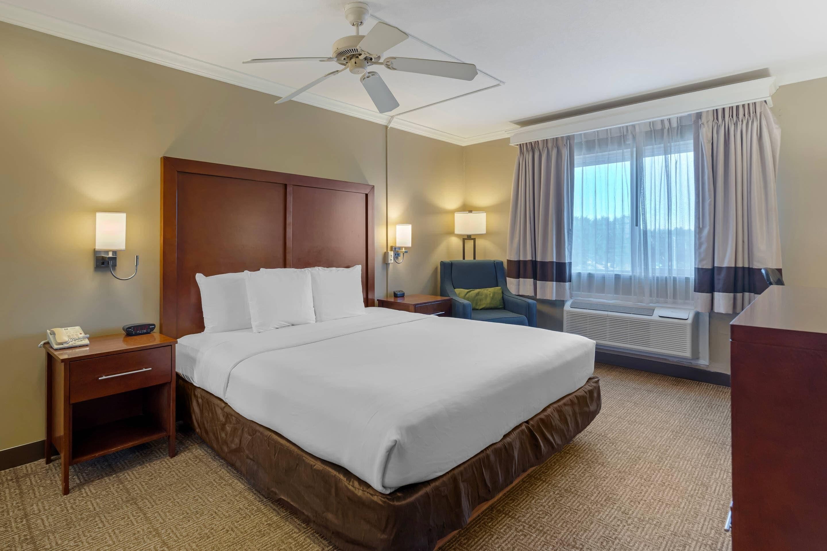 Standard Room, 1 King Bed, Non Smoking | Desk, iron/ironing board, rollaway beds, free WiFi