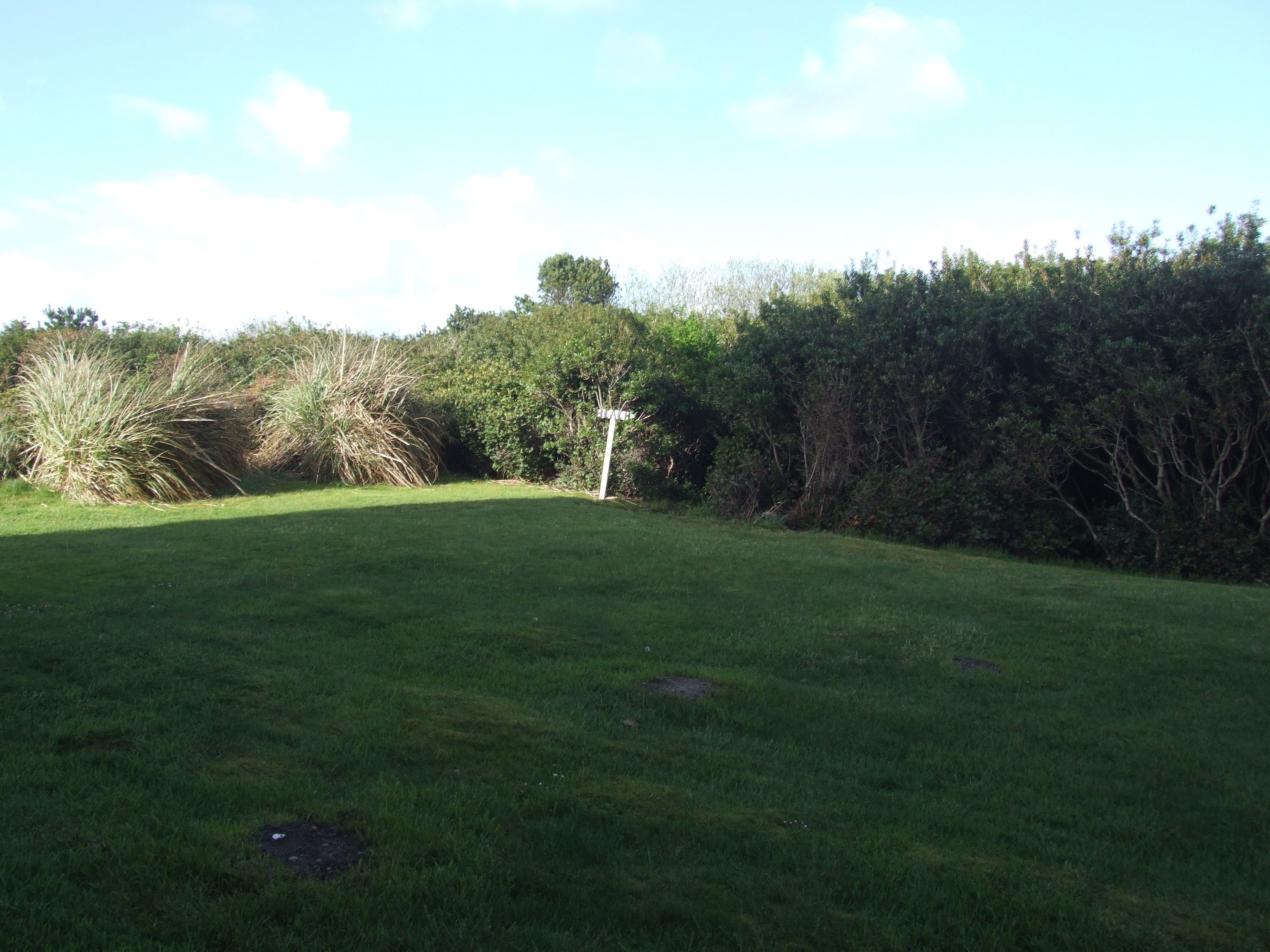 A grassy area with dense shrubbery and a white signpost.