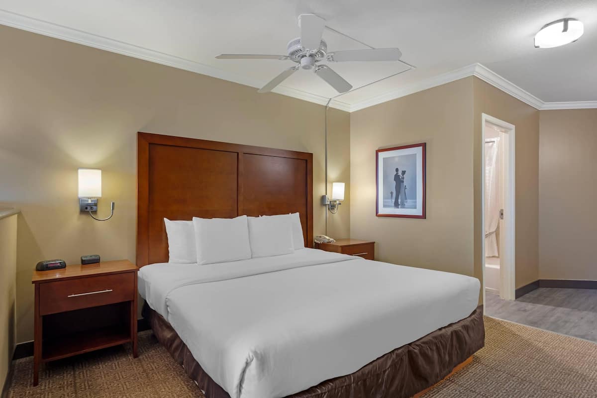 Suite, 1 King Bed, Non Smoking | Desk, iron/ironing board, rollaway beds, free WiFi