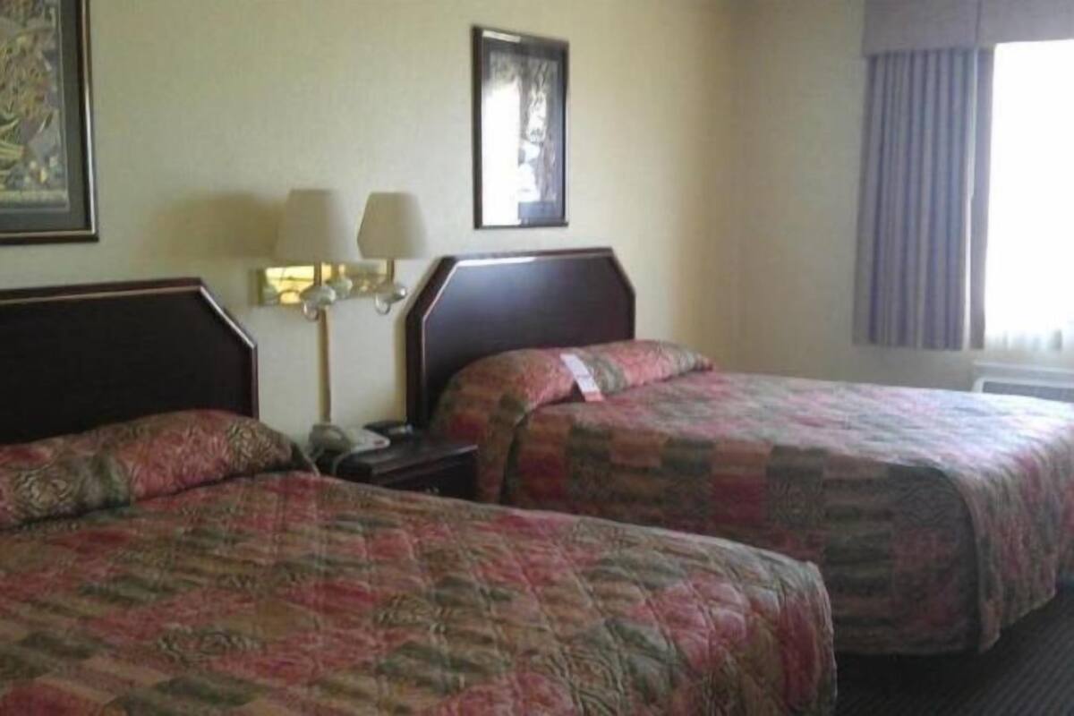 مكواة/لوح كي وواي فاي مجانًا وملاءات أسرّة ومُنبهات