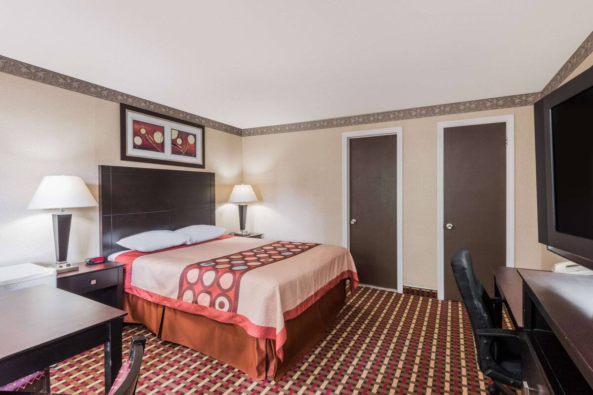 A hotel room with a bed, two bedside tables with lamps, a desk, a chair, a TV, and a patterned carpet.