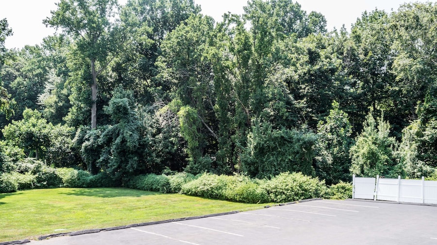 Super 8 by Wyndham Old Saybrook