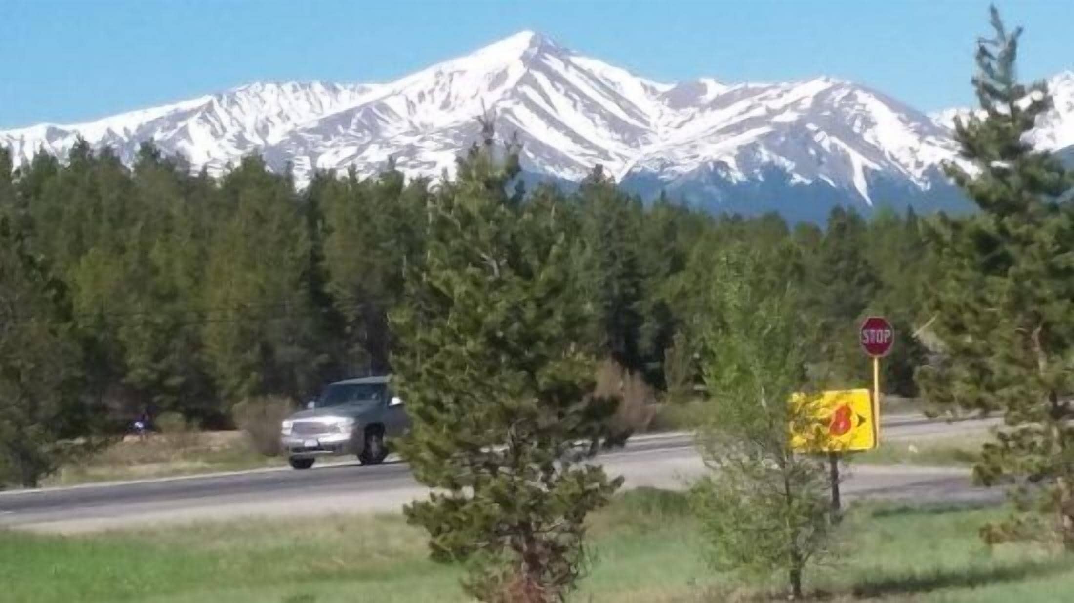 A road with a stop sign and a yellow warning sign, surrounded by trees and a snow-capped mountain in the background.