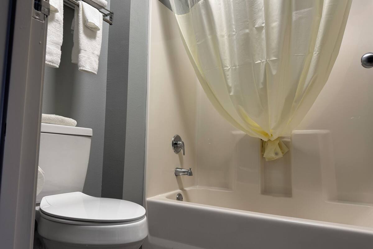 free toiletries, hair dryer, towels