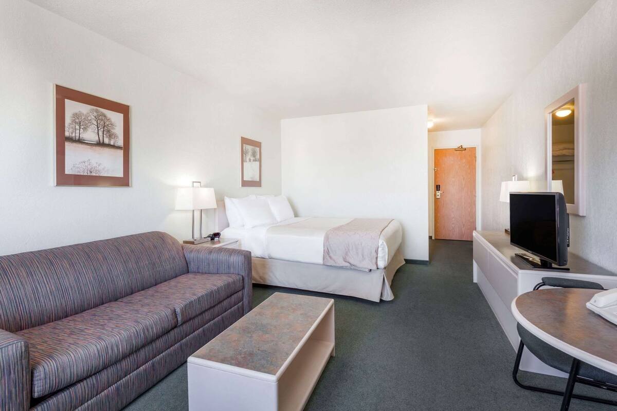 A hotel room with a sofa, a bed, a TV, and a desk.
