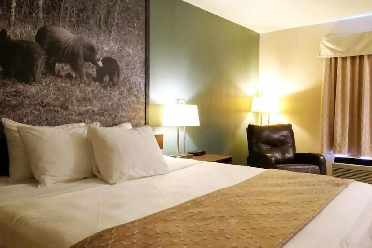 A hotel room with a large bed, a headboard with a bear painting, a lamp, a chair, and a window with curtains.