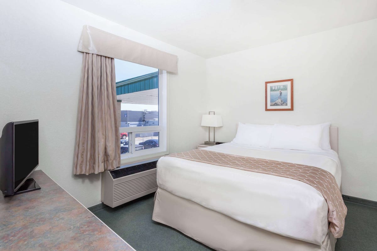 A hotel room with a bed, a television, a window with curtains, a picture on the wall, and a heater.