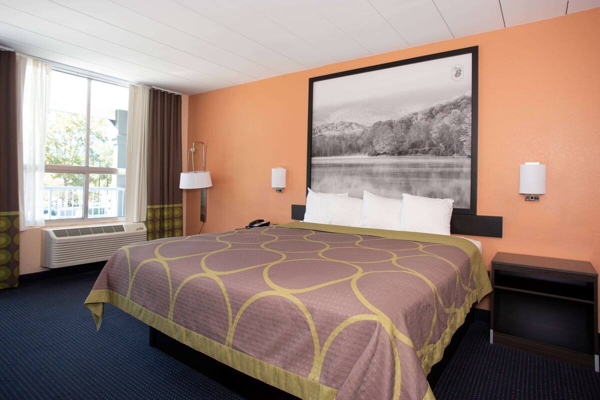 A hotel room with a large bed, a view of a lake, and a painting on the wall.