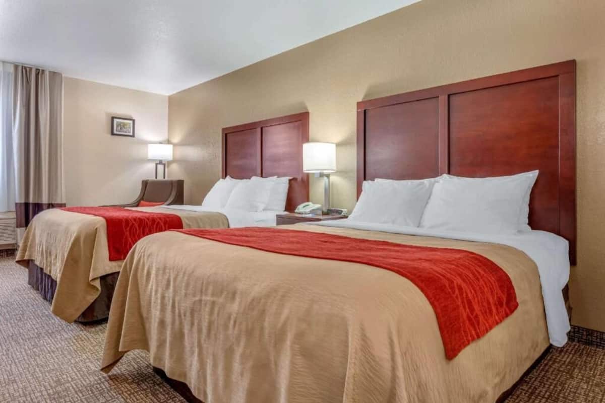 Quarto de hotel com duas camas, roupa de cama bege, cabeceiras de madeira, mesa de cabeceira com abajur e janela com cortinas.