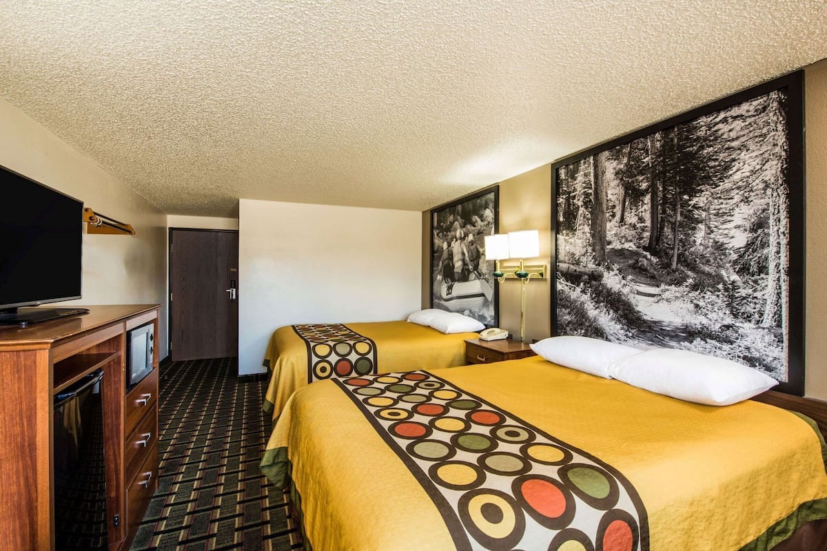 Habitación de hotel con dos camas, televisión, escritorio y un gran mural con motivos forestales.