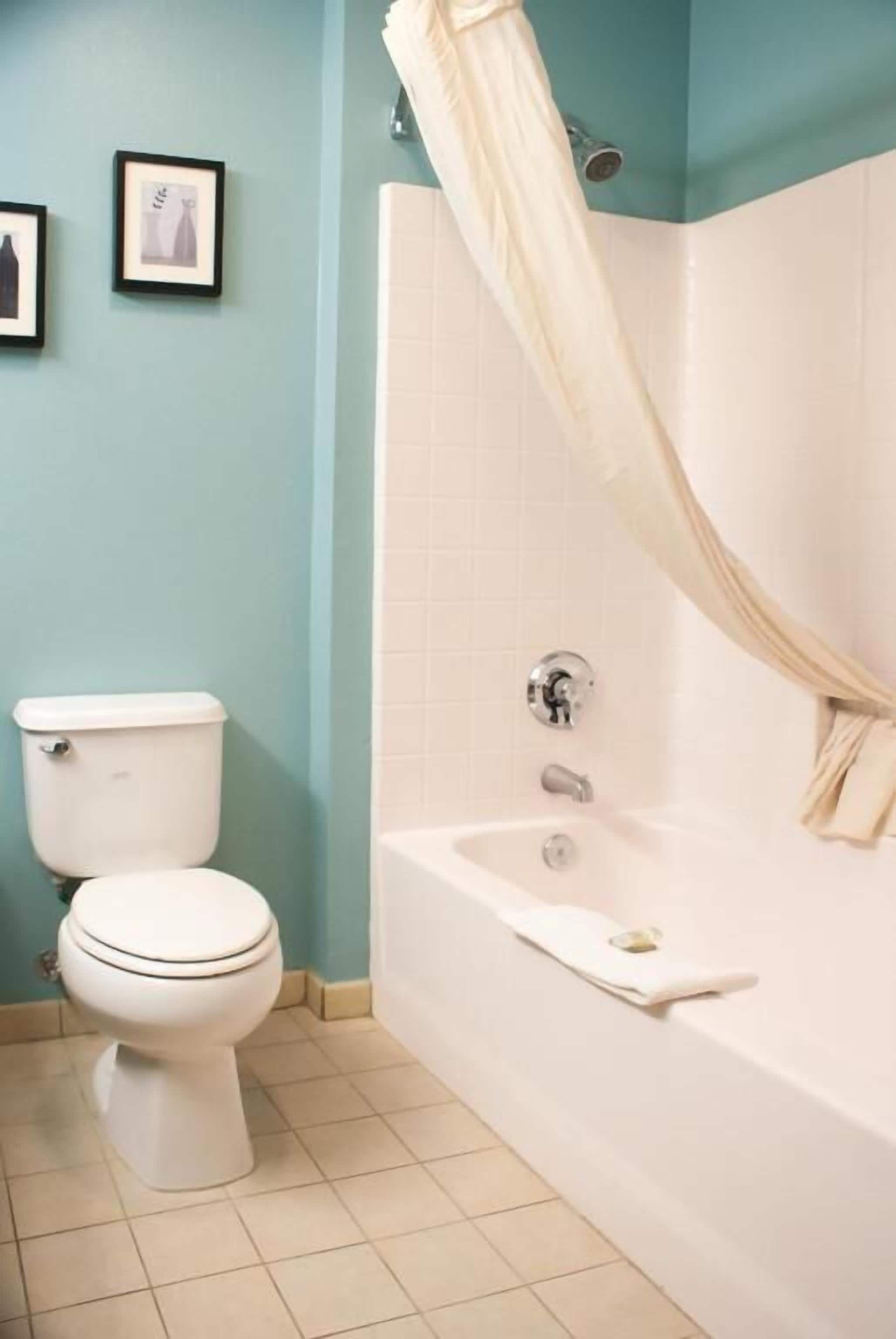 Une salle de bain équipée de toilettes, d’une baignoire et d’un rideau de douche.