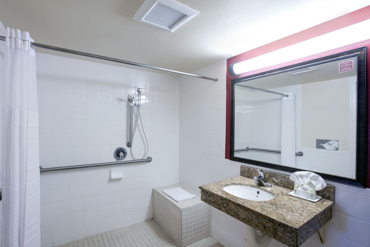 Habitación estándar, 1 cama de matrimonio grande, accesible para personas con discapacidad | Baño | Secador de pelo y toallas