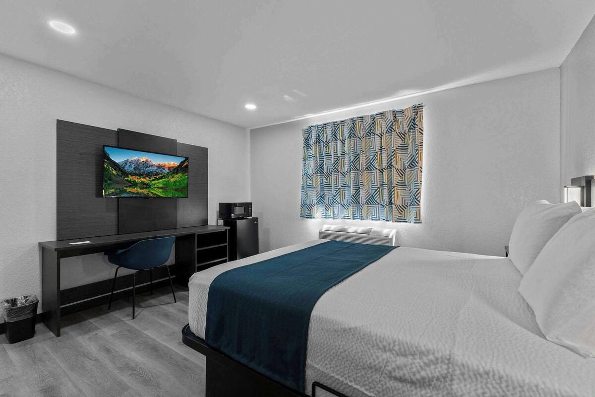 A modern hotel room with a bed, a desk with a chair, a television, and a patterned window treatment.