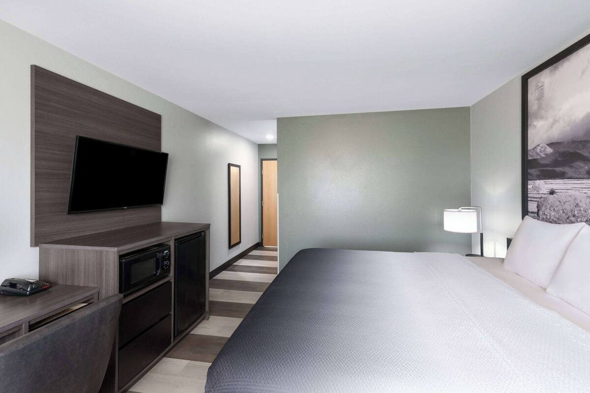 Habitación de hotel con cama, televisor de pantalla plana montado en la pared, microondas, una mesita con teléfono y mesita de noche con lámpara.