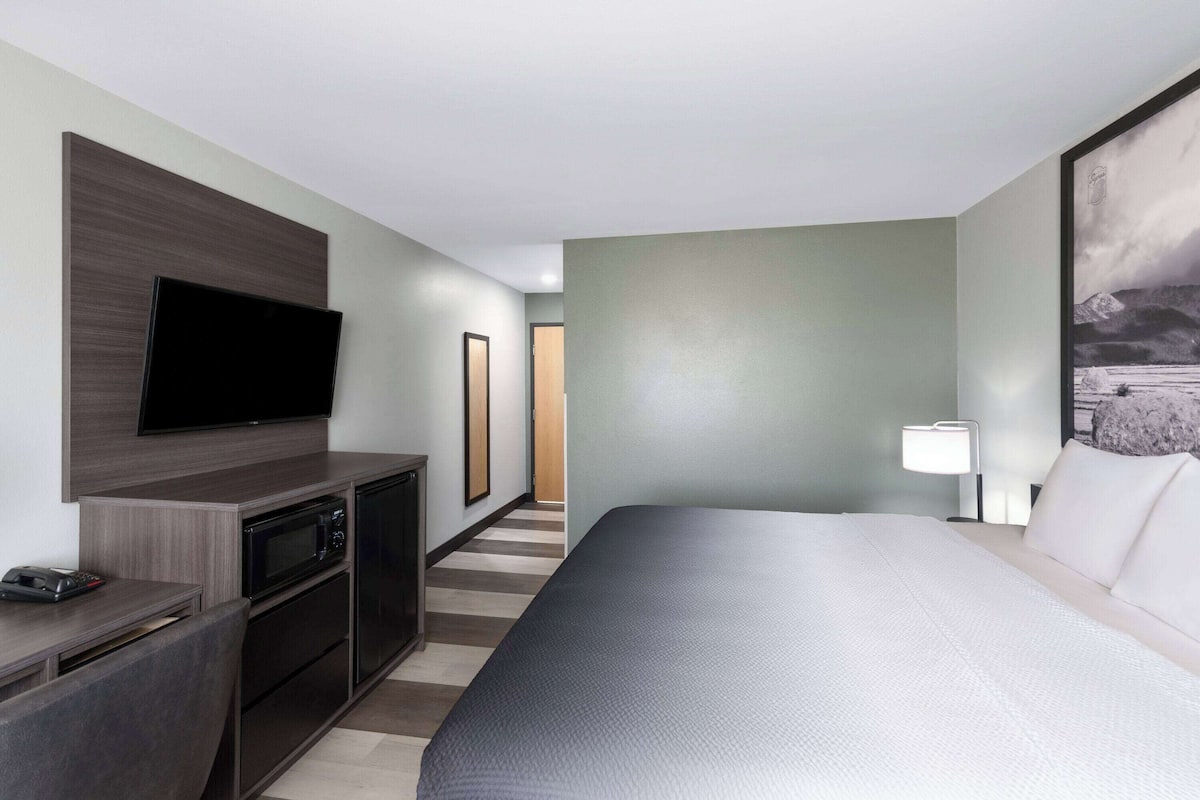 Business Room, 1 King Bed, Non Smoking | Individually decorated, individually furnished, desk, laptop workspace