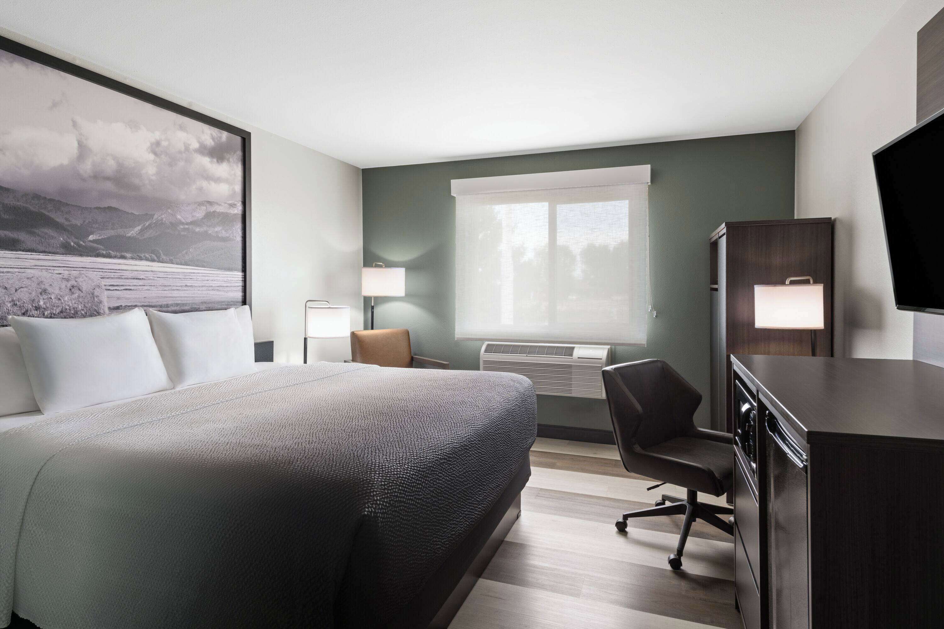 Business Room, 1 King Bed, Non Smoking | Individually decorated, individually furnished, desk, laptop workspace