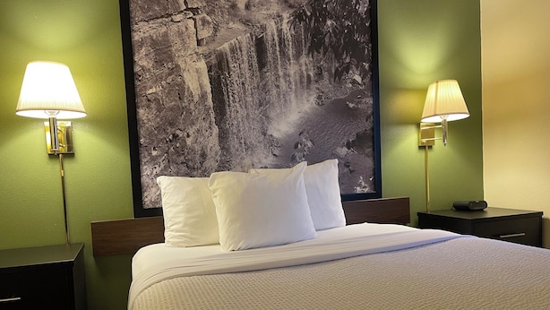 Una habitación de hotel con una cama, dos mesitas de noche y un mural grande en la pared.