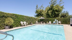 Une piscine rectangulaire avec un escalier en métal, entourée de chaises longues blanches et agrémentée d’une plante en pot.