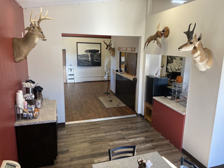 A hotel lobby with wooden flooring, a reception desk, and mounted animal heads on the walls.