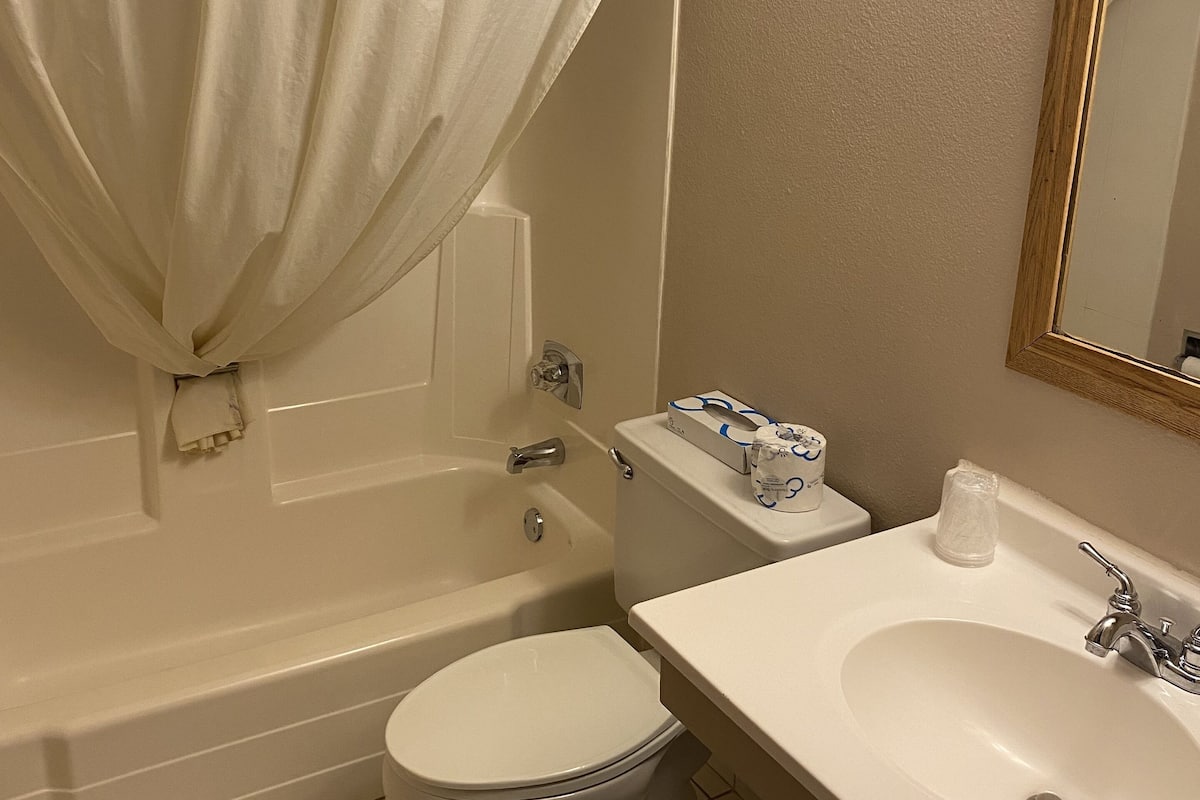 combined shower/bathtub, hair dryer, towels