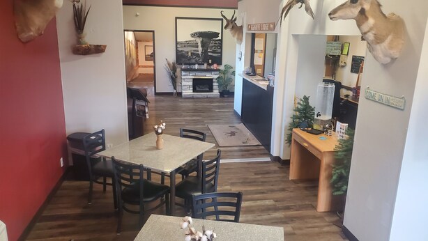 Un coin repas avec une table et des chaises, un espace cuisine avec un comptoir, et des têtes d’animaux empaillées accrochées aux murs.