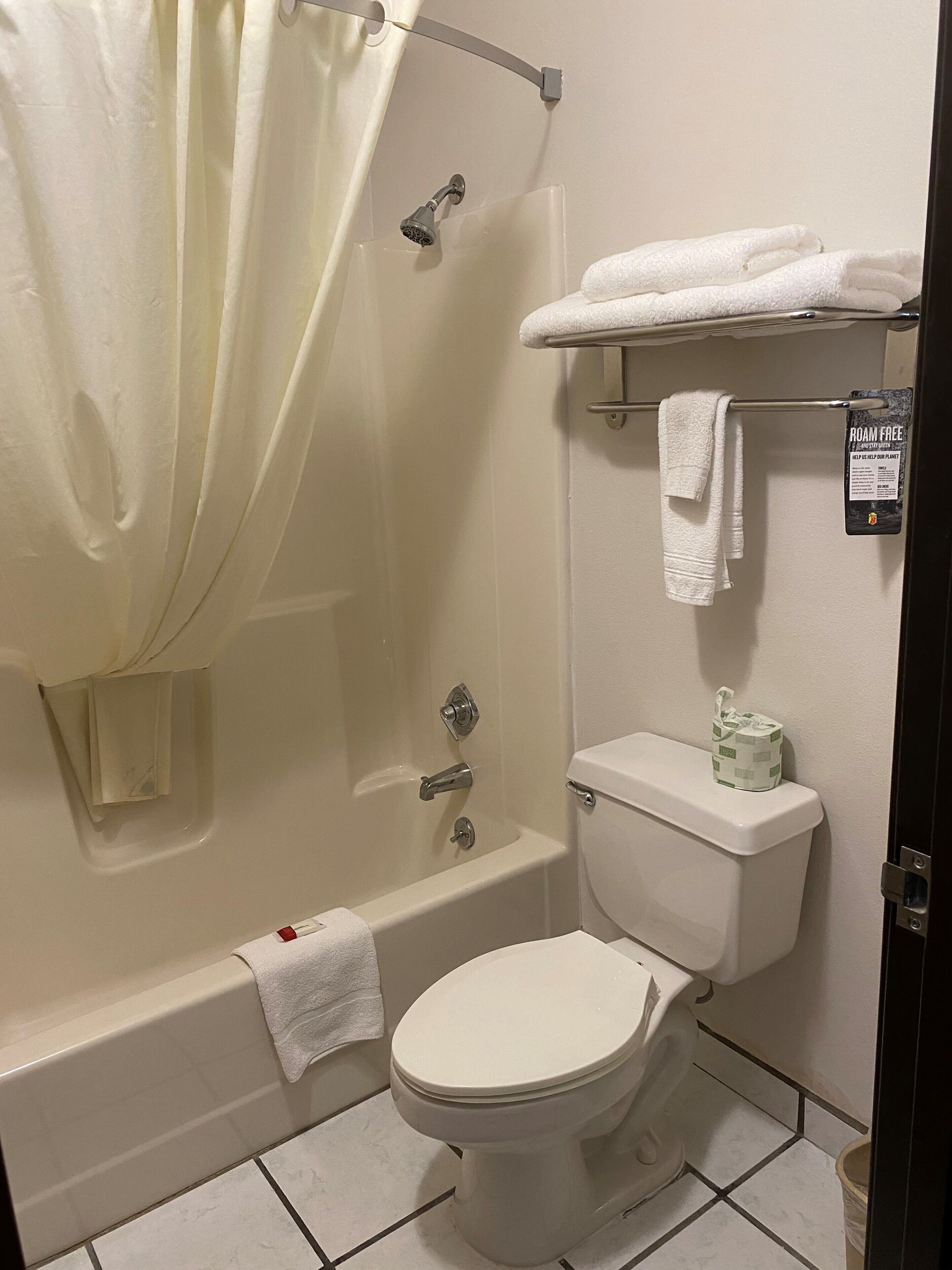 combined shower/bathtub, free toiletries, hair dryer, towels