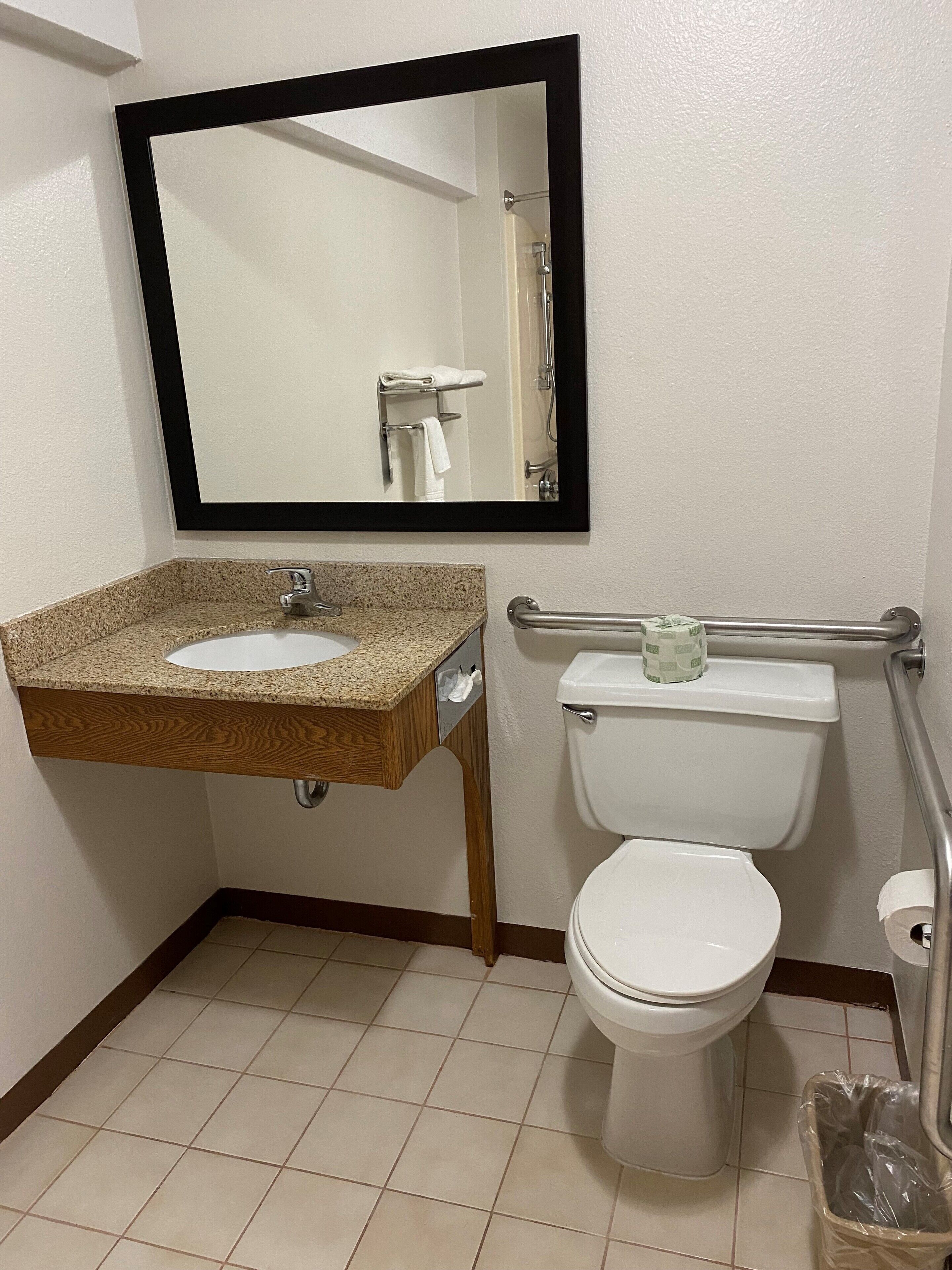 room, 1 queen bed, accessible, non smoking | bathroom | combined shower/bathtub, free toiletries, hair dryer, towels