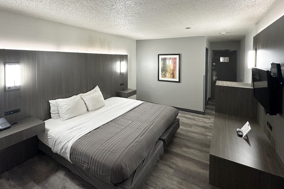 Chambre, 1 très grand lit, non-fumeurs, réfrigérateur | Literie de qualité supérieure, bureau, fer et planche à repasser