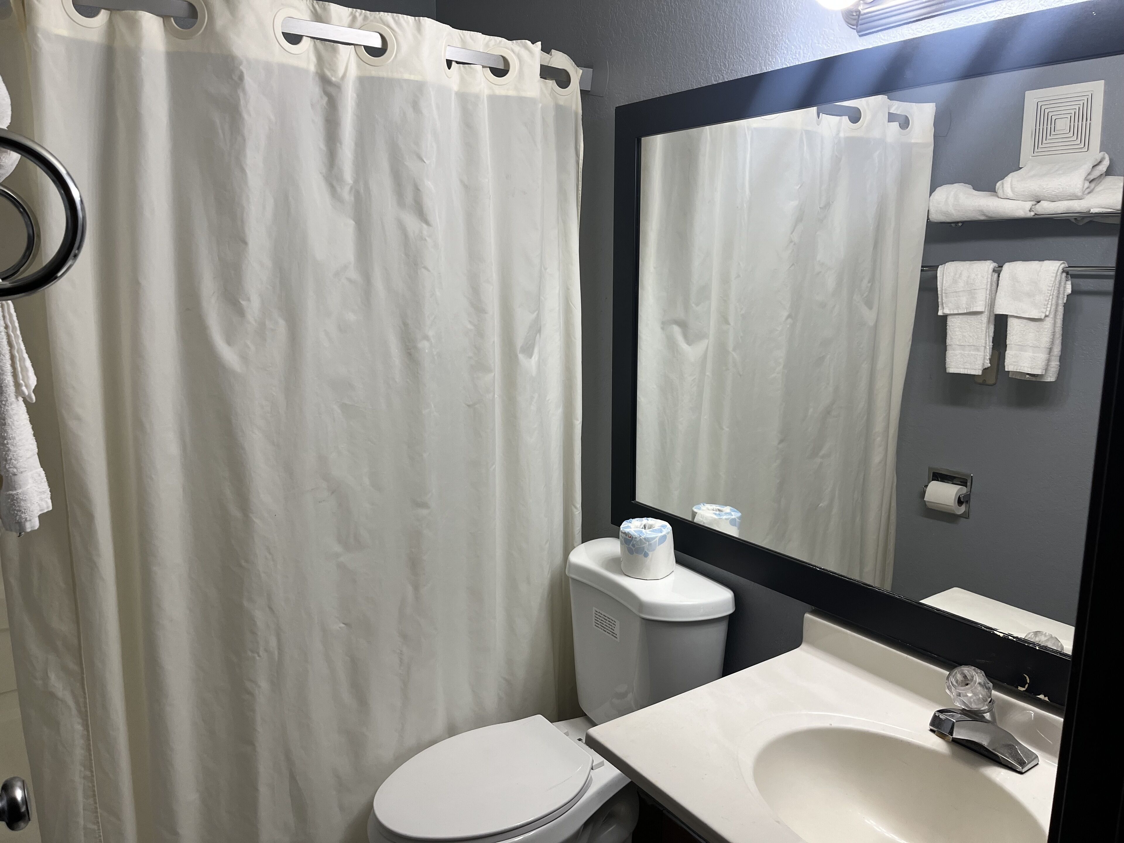 A bathroom with a toilet, sink, mirror, and a shower curtain.