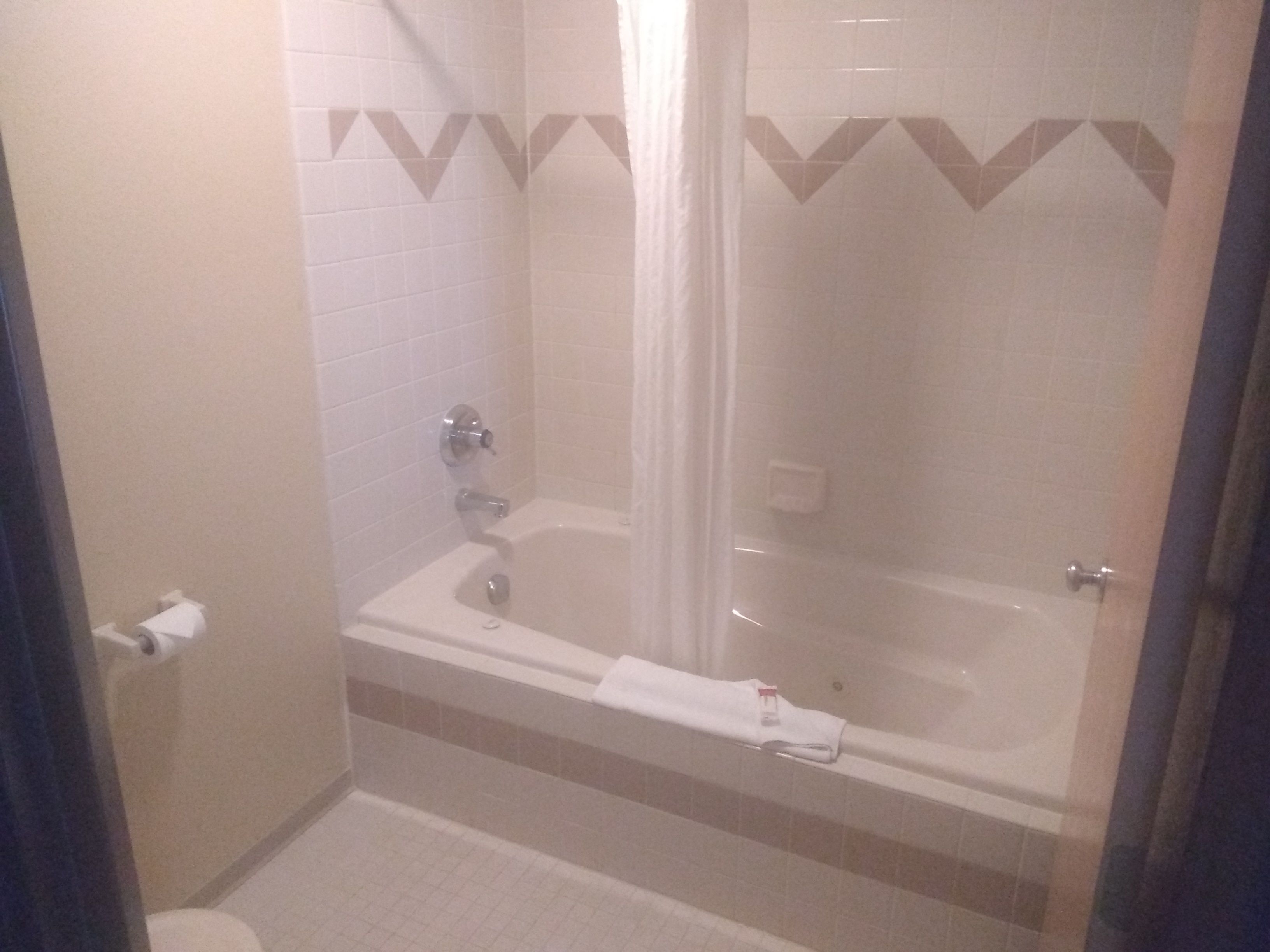 A bathroom with a bathtub, a toilet, and a shower curtain.