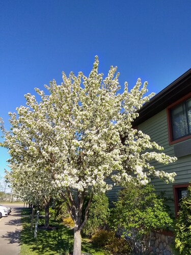 Super 8 by Wyndham Baxter/Brainerd Area