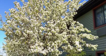 Super 8 by Wyndham Baxter/Brainerd Area