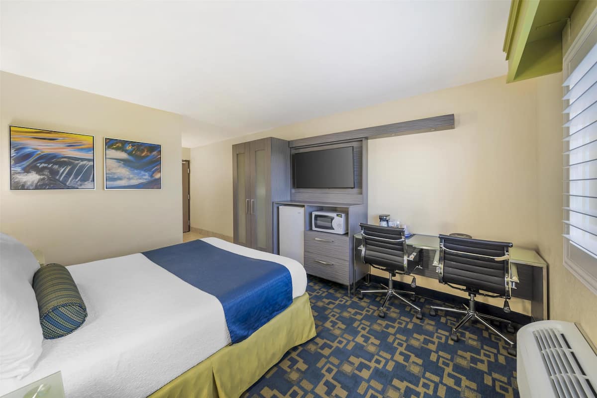Habitación de hotel con cama, escritorio, silla, televisor y dos cuadros en la pared.