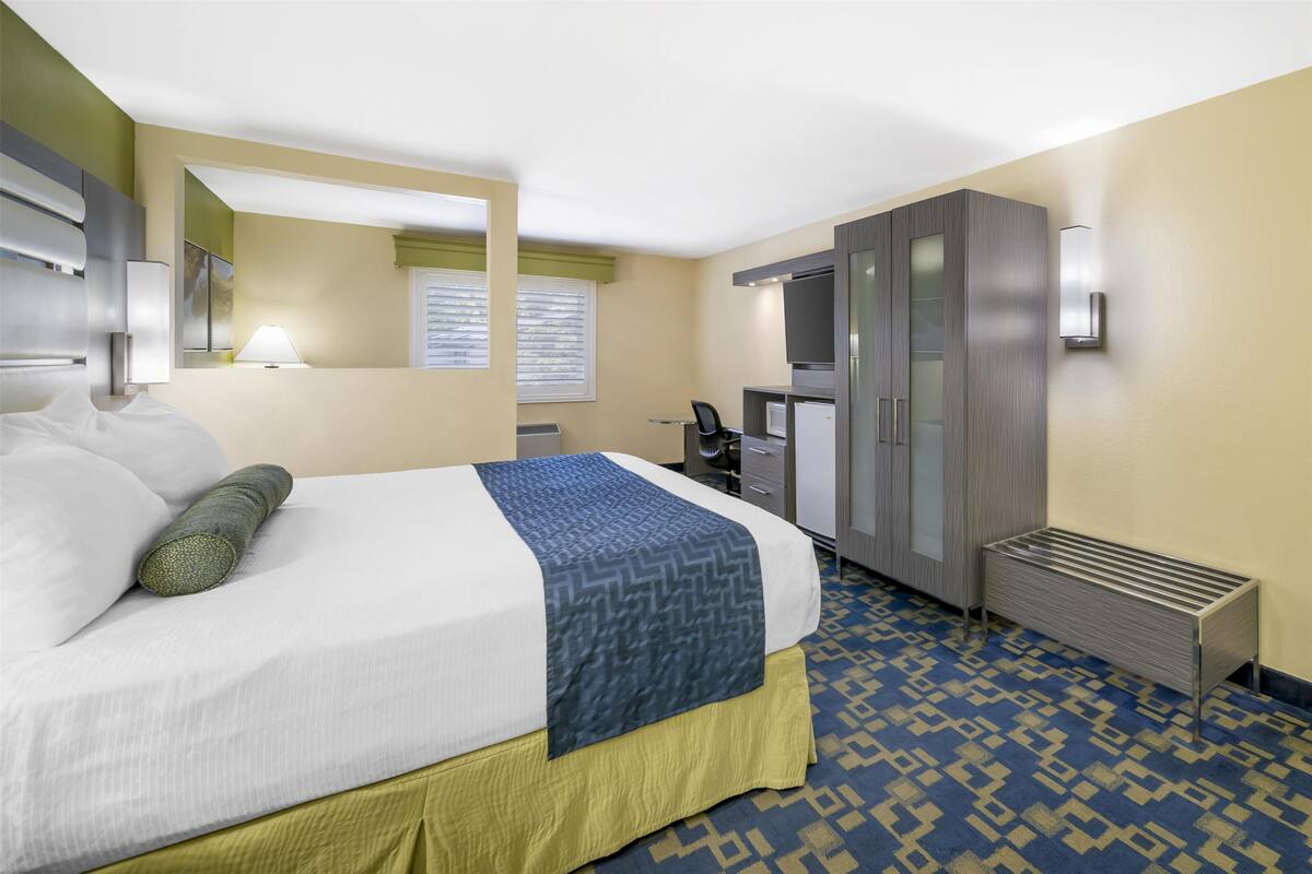 Una habitación de hotel con cama, escritorio, armario y radiador.