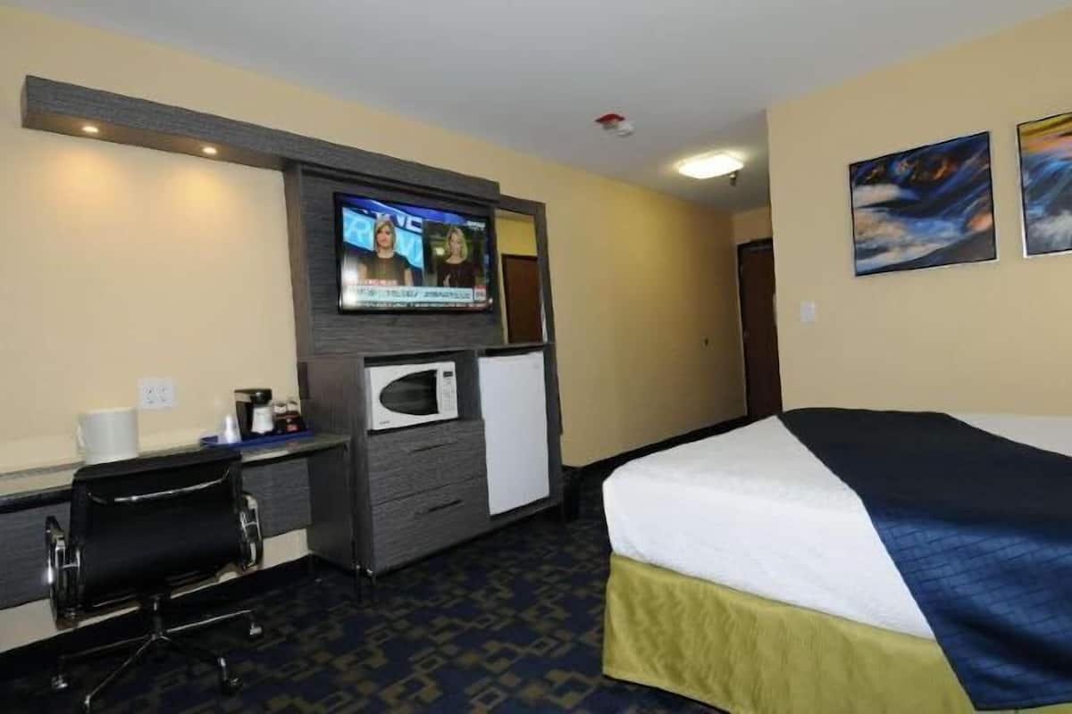 Desk, laptop workspace, iron/ironing board, free cribs/infant beds