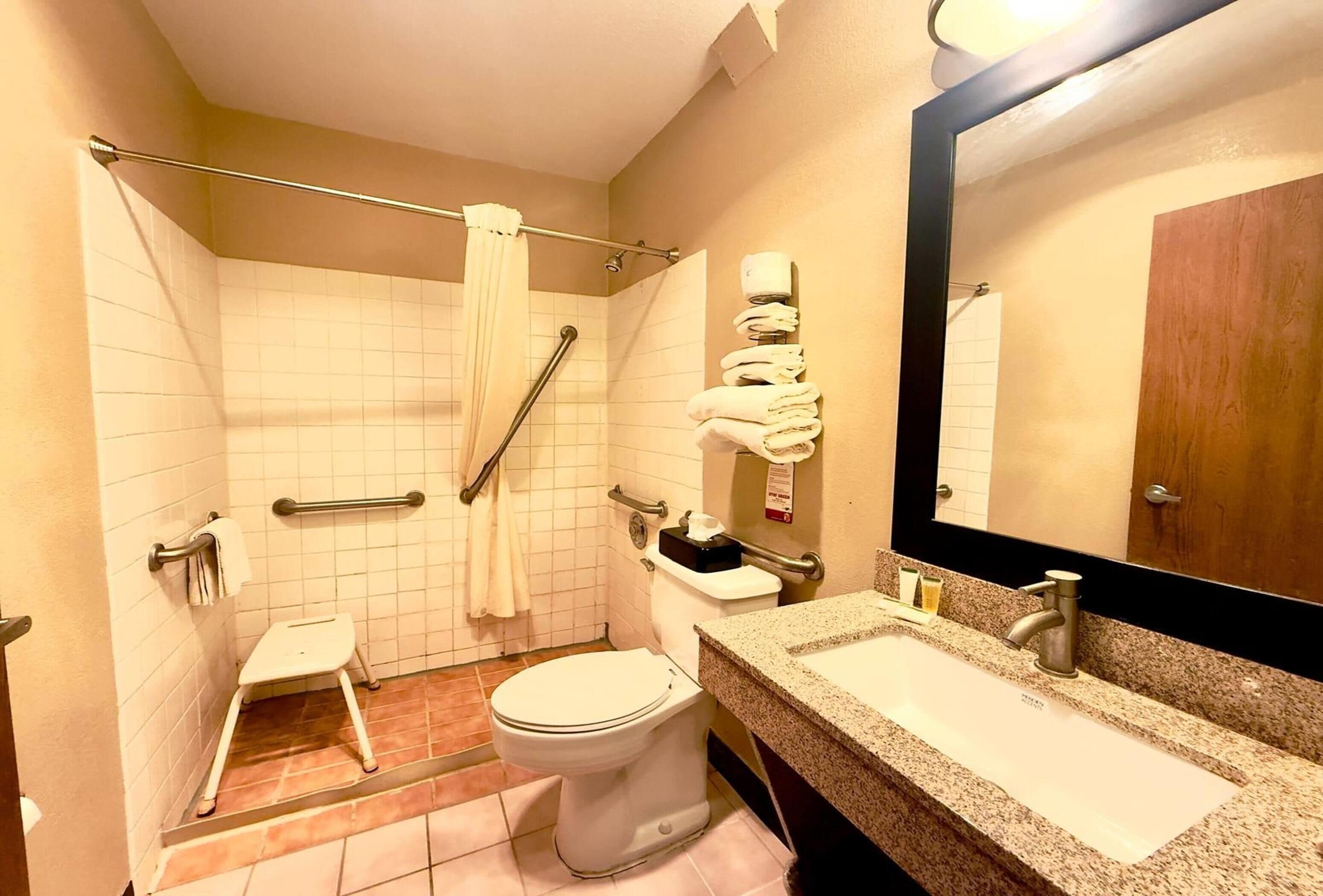 Chambre, 1 grand lit, accessible aux personnes à mobilité réduite, non-fumeur | Salle de bain adaptée