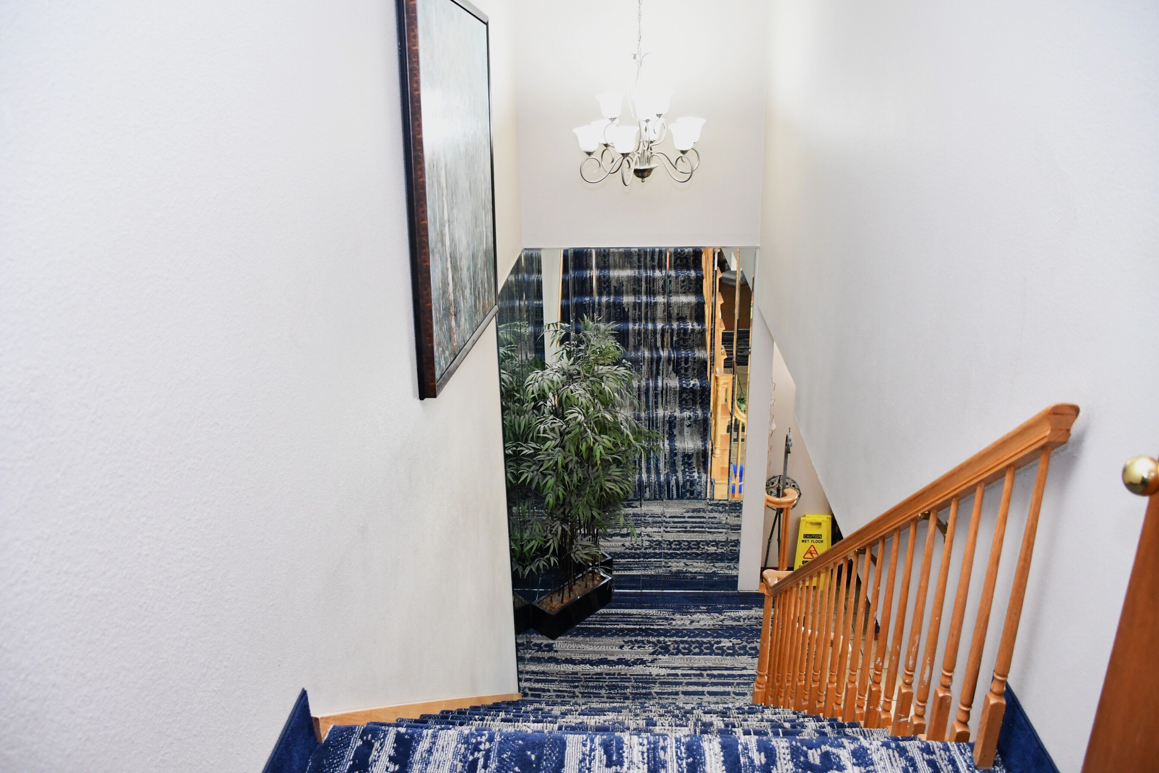 Una escalera con una alfombra azul estampada, barandilla de madera y una planta en maceta al final.