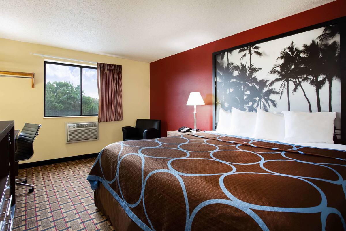 Une chambre d’hôtel avec un grand lit, un bureau, une chaise, une fenêtre avec des rideaux, un climatiseur et un mur orné d’une fresque représentant un palmier.
