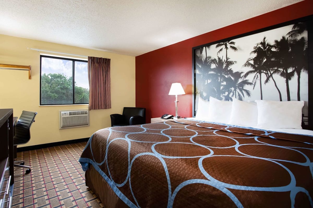 Quarto de hotel com uma cama grande, escrivaninha, cadeira, janela com cortinas, ar condicionado e um mural de palmeira na parede.