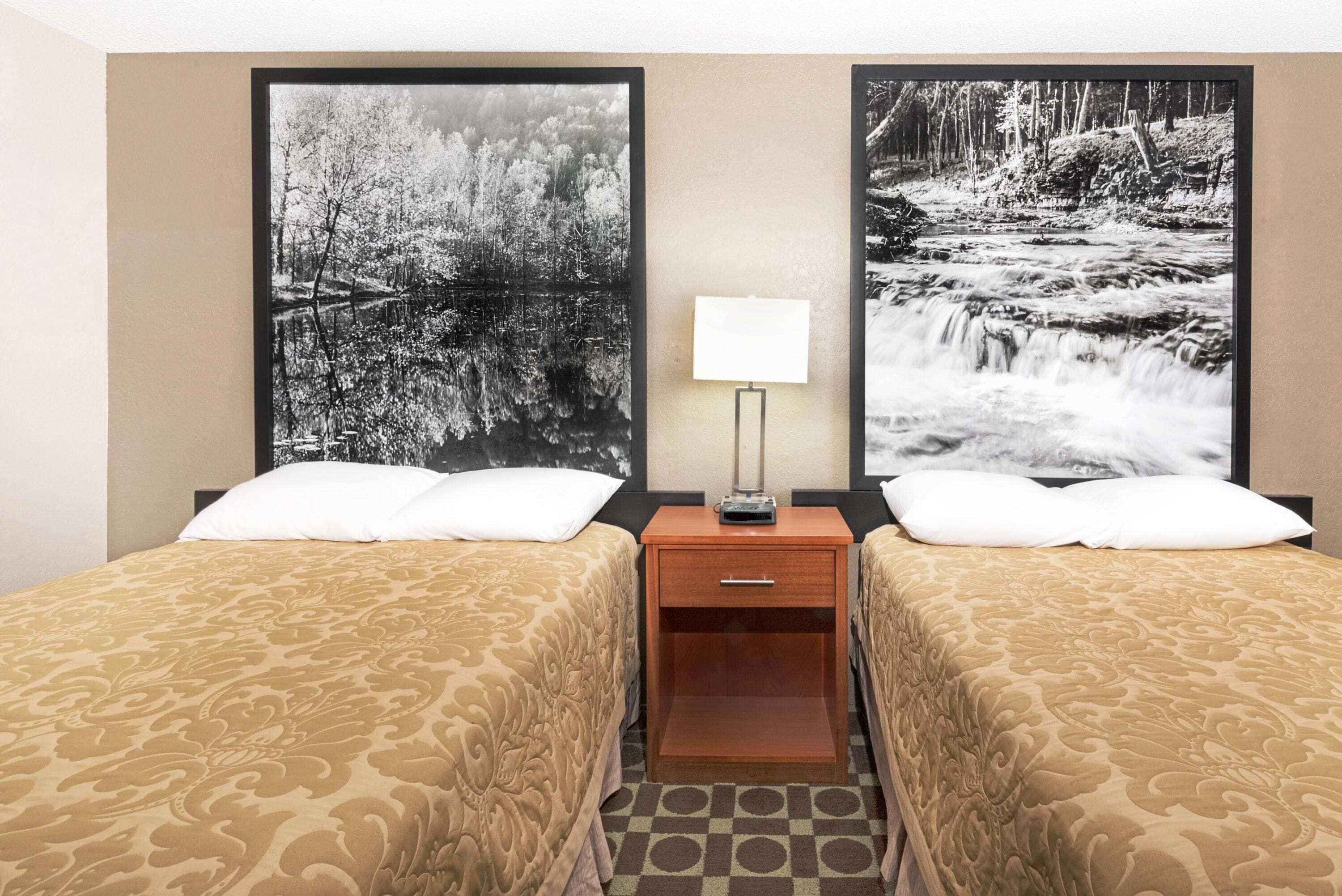 A hotel room with two beds, a nightstand with a lamp, and two large black-and-white nature photographs on the wall.