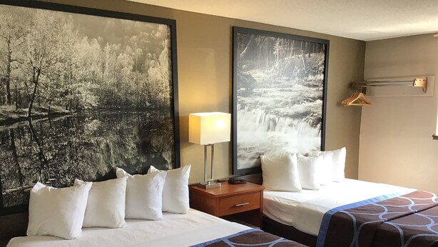 A hotel room with two beds, each with white linens and brown patterned bedspreads. There are two large framed pictures on the wall, one depicting a forest scene and the other a waterfall. A bedside table with a lamp and a small clock is visible.