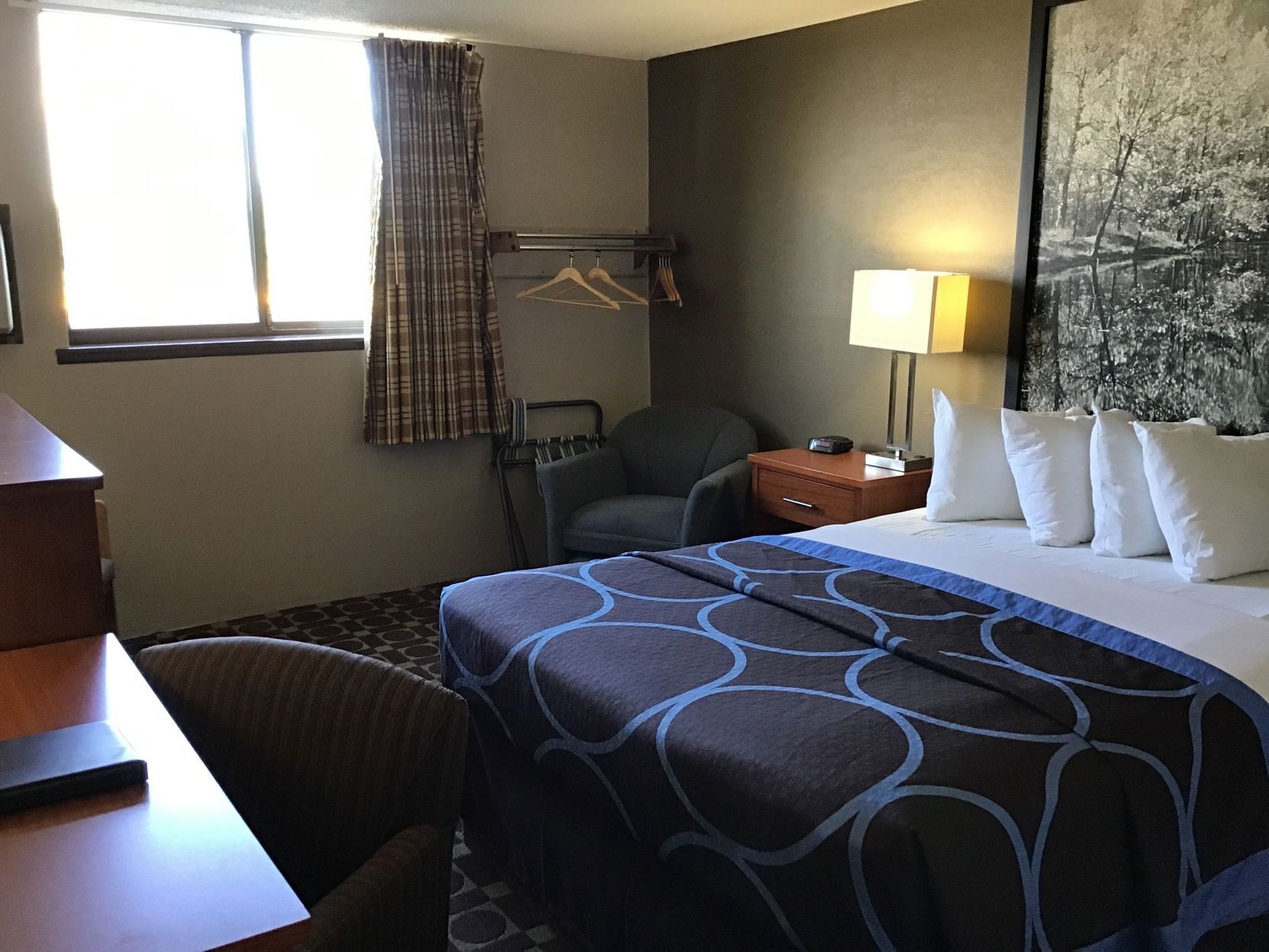 A hotel room with a bed, a desk, a chair, a bedside table with a lamp, a coat rack, and a painting on the wall.