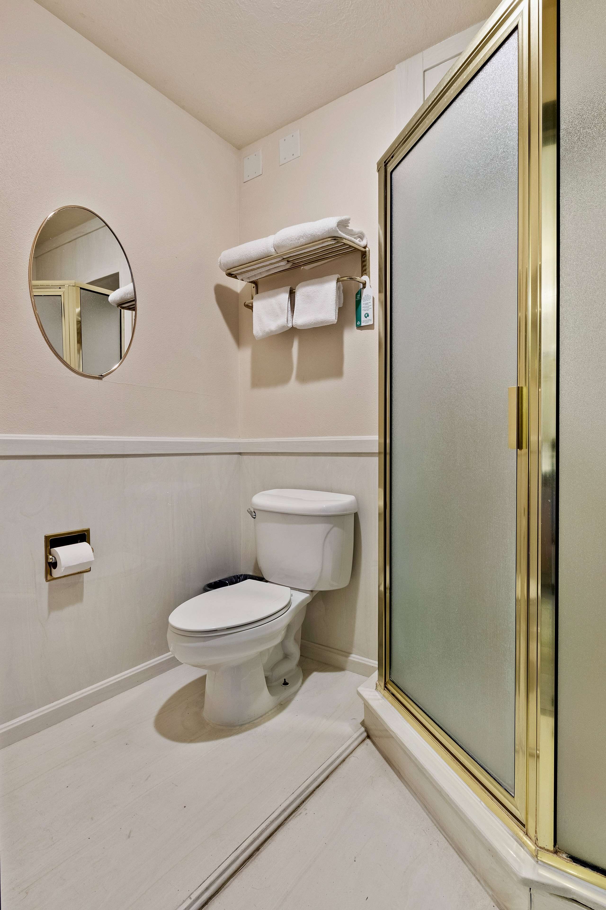 suite, 1 king bed, non smoking, jetted tub (walk-in shower) | bathroom | combined shower/bathtub, hair dryer, towels