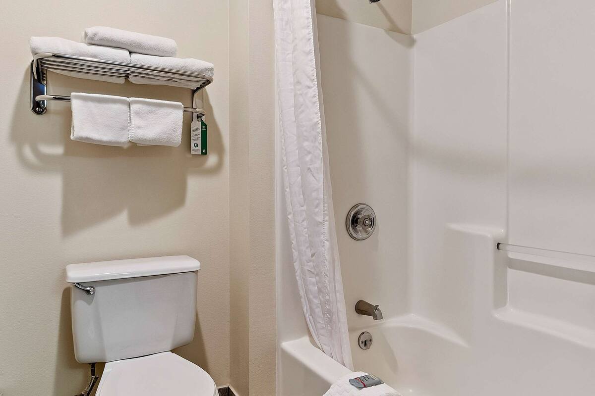 combined shower/bathtub, hair dryer, towels