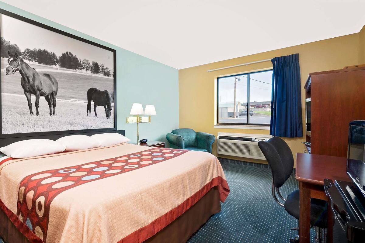 Habitación de hotel con cama, escritorio, silla, televisor, ventana con cortinas, lámpara y un cuadro de caballos colgado en la pared.