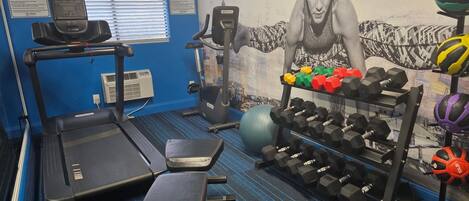 A gym with treadmills, weight benches, dumbbells, and exercise balls.
